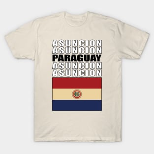 Flag of Paraguay T-Shirt